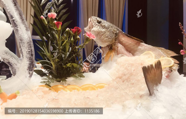海魚刺身