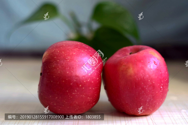 蘋果