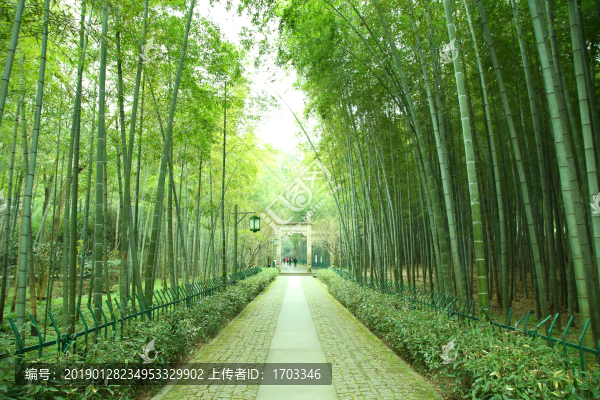 云棲竹徑