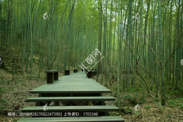 云棲竹徑