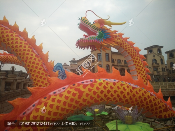 龍