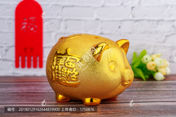 金豬