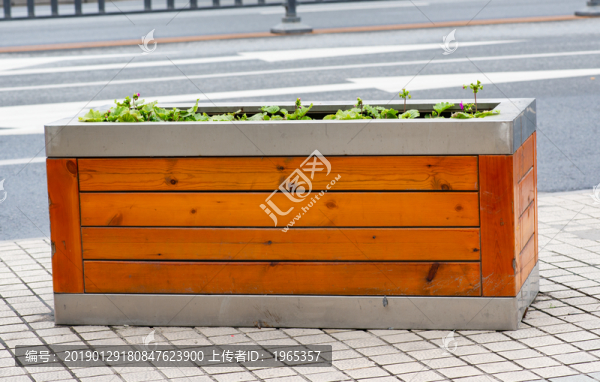 花壇