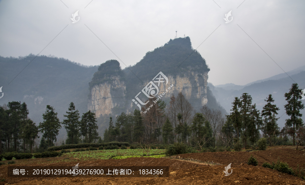 山