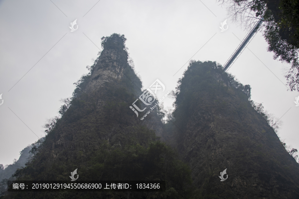 山
