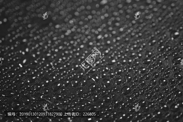 水珠