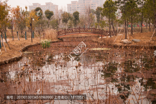 景觀園區(qū)