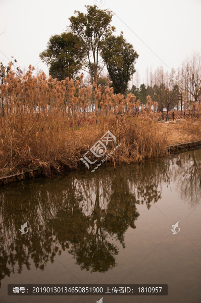 景觀園區(qū)