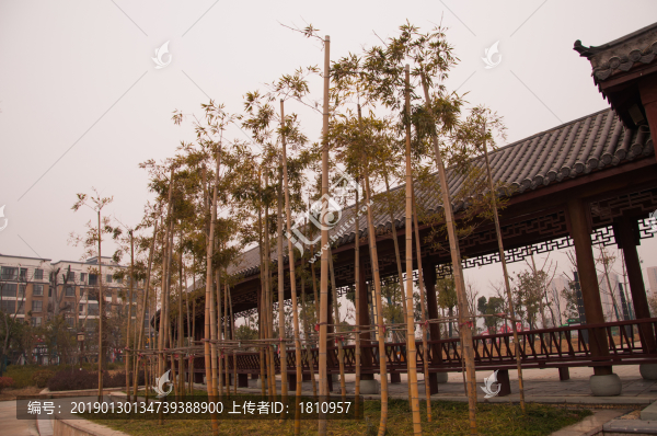 長廊