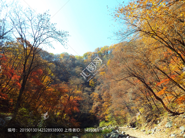 山間小路