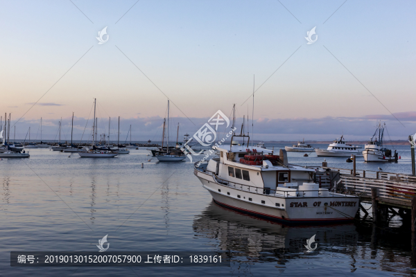 蒙特利爾海灣里的帆船
