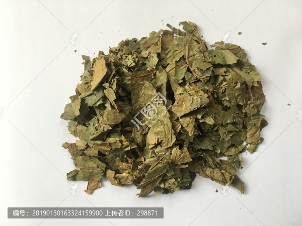 布渣葉