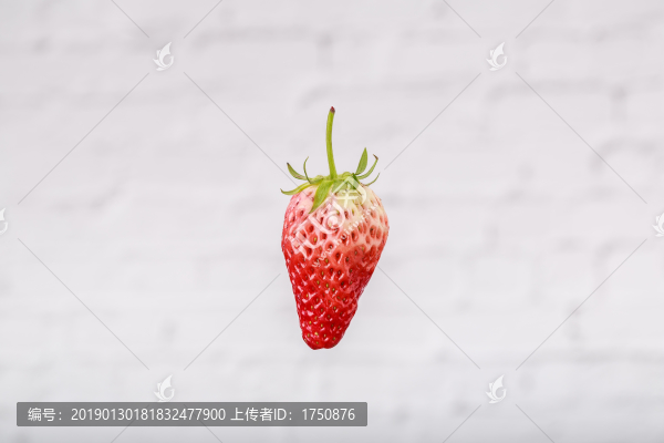 草莓