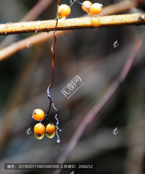 雨滴
