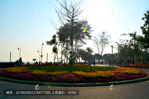 廣場花壇