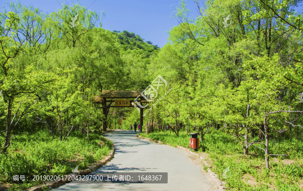 千山雨潤梨園圓木柱門與柏油路