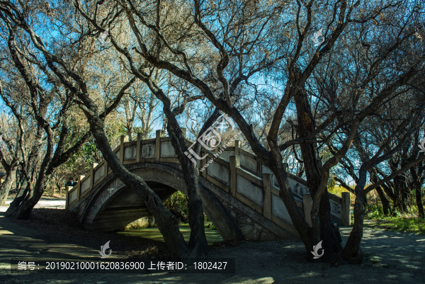 大理喜洲海舌生態(tài)公園石橋