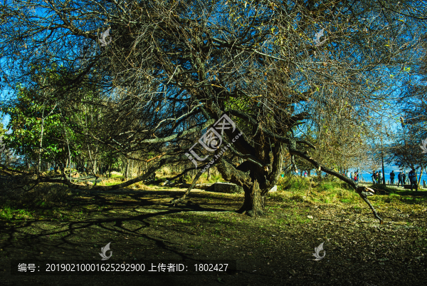 大理喜洲海舌生態(tài)公園