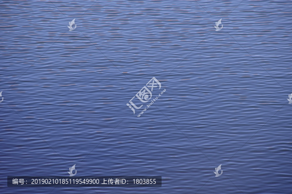 水波紋