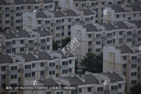 住宅樓