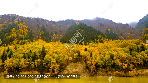 滿山秋色