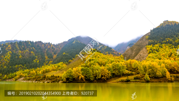 青海秋季