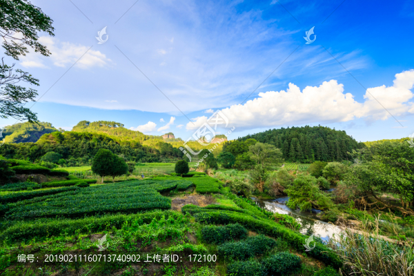 中國(guó)福建武夷山