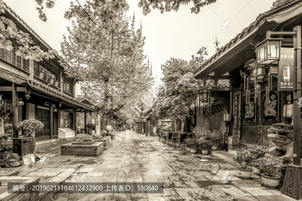 成都古鎮(zhèn)寬窄巷子