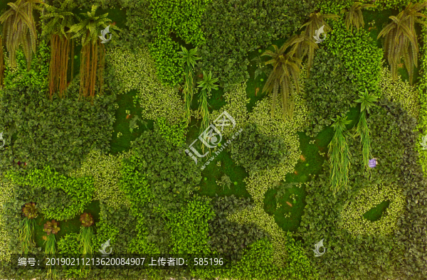 綠植背景