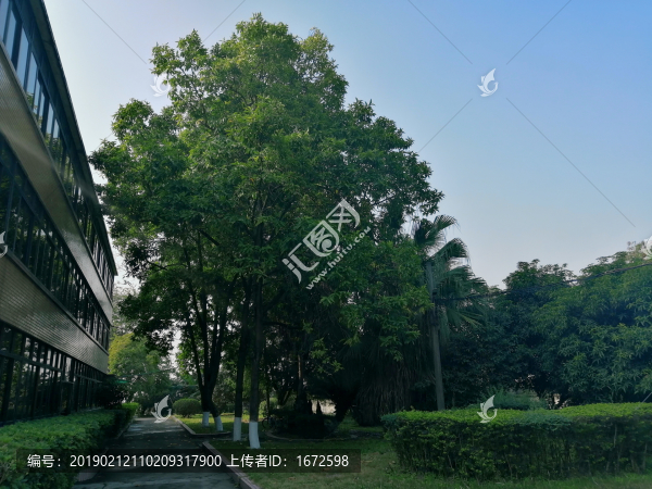 老舊建筑物后的綠地