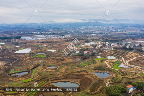 春回大地2
