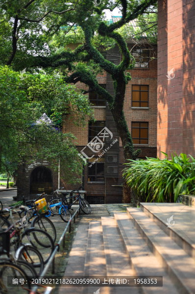 中山大學(xué)廣州校園