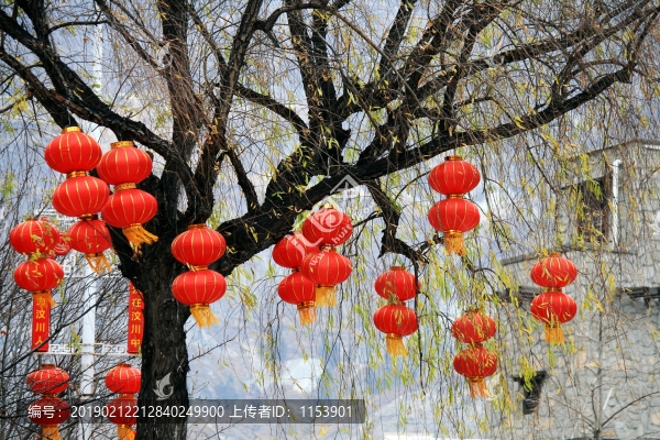紅燈籠