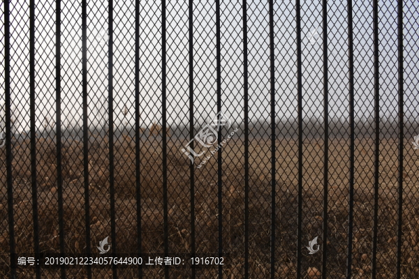 紗網(wǎng)