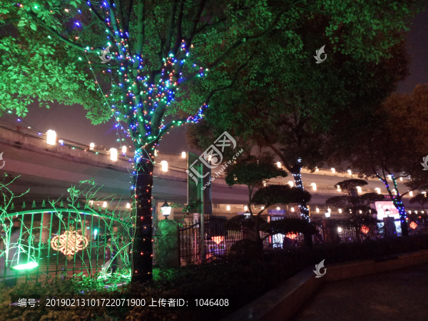 夜景樹木裝飾燈