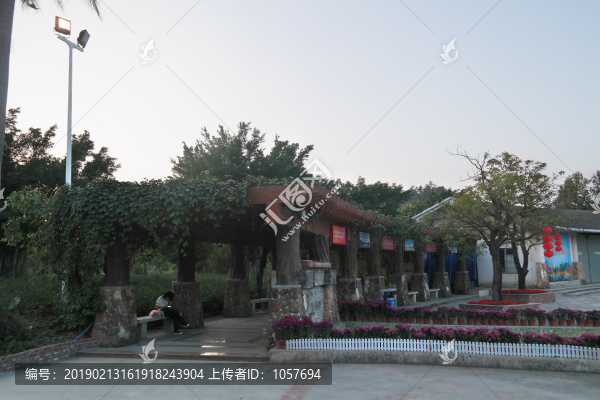 新會小鳥天堂景觀一角