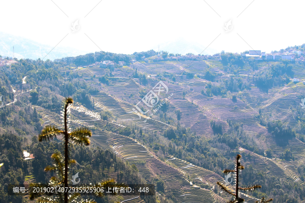 云南紅河哈尼梯田