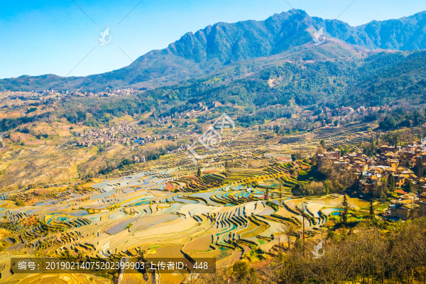云南紅河哈尼梯田