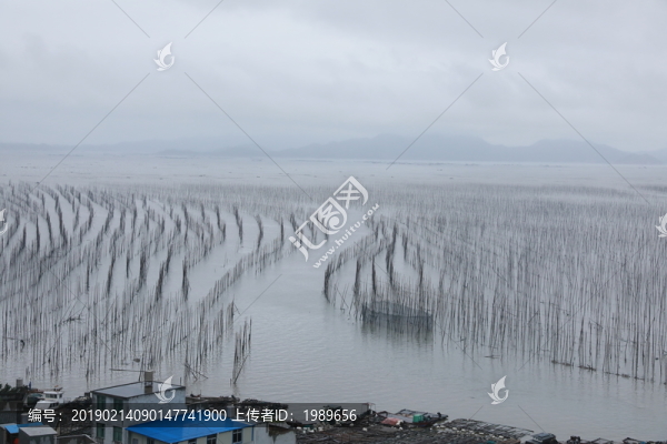 霞浦S彎