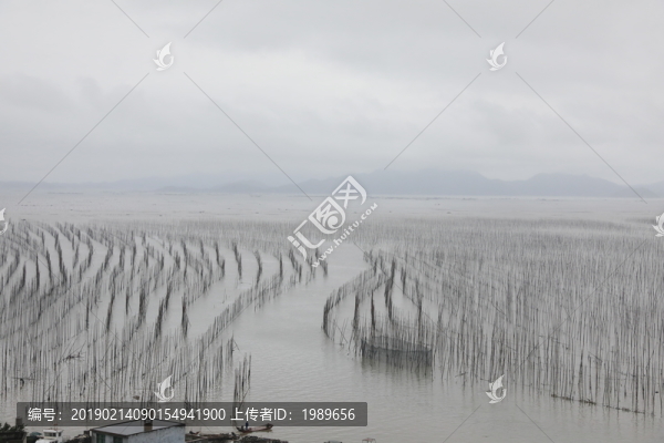 霞浦S彎