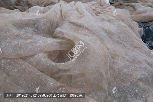 魚網(wǎng)