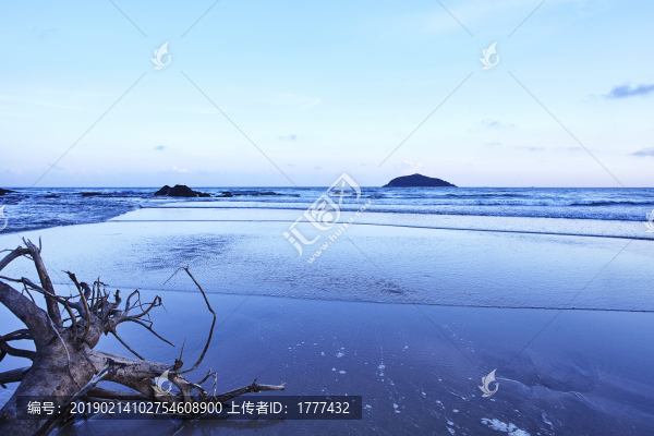 夜幕下藍(lán)色海灘上的枯木
