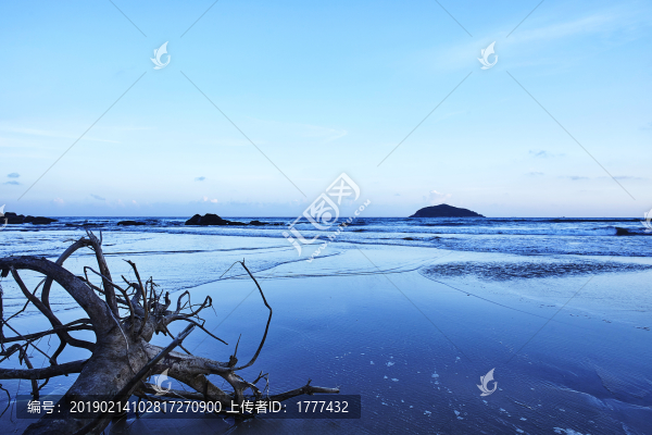 夜幕下藍(lán)色海灘上的枯木