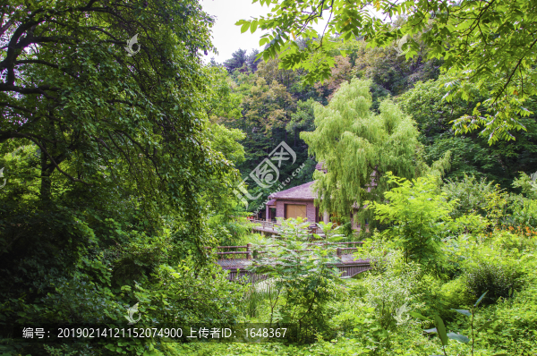 千山桃花溪谷木橋與茅屋