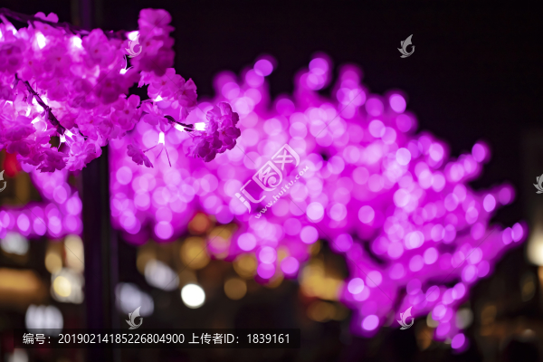 大年初一無錫南長街夜色燈光秀