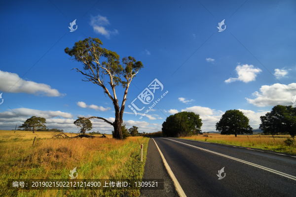 鄉(xiāng)間公路
