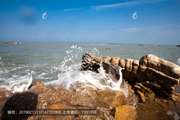 海浪花