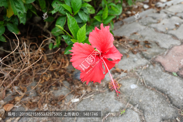 扶?；? title=