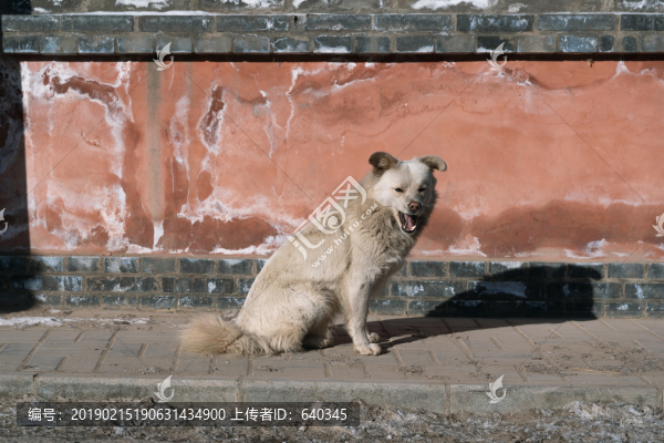 塔爾寺