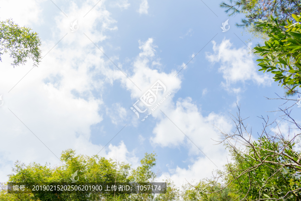 藍天白云